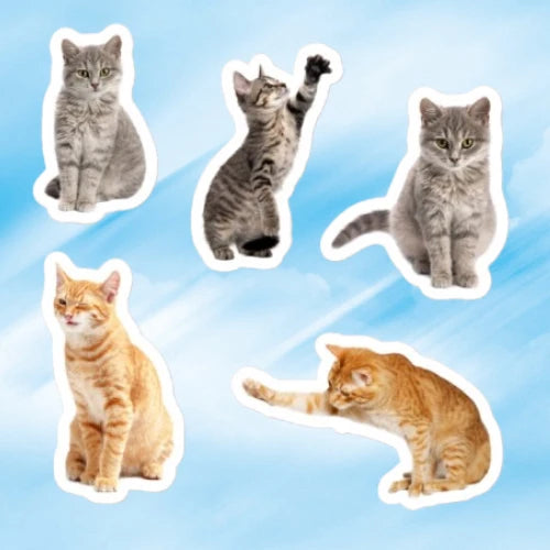 STICKERS